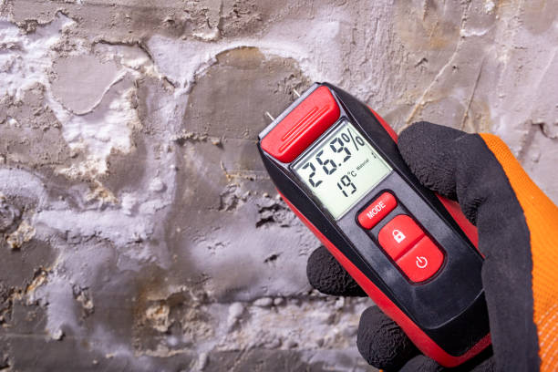 Best Mold Testing  in Boston, GA